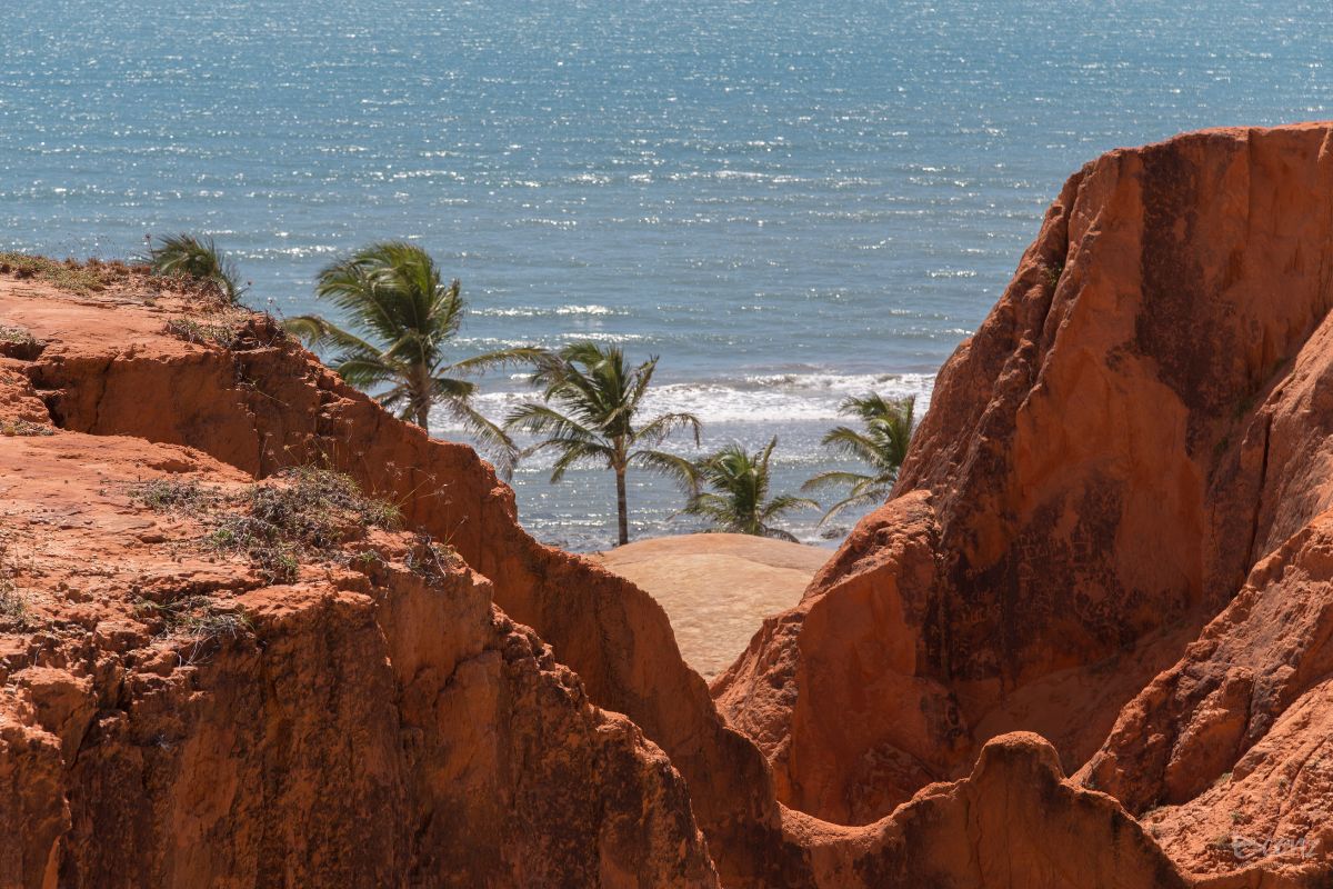 passeios em Fortaleza